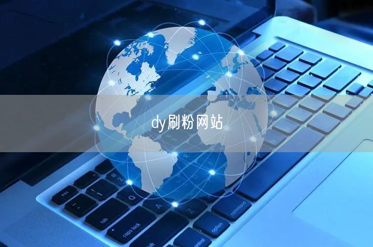 dy刷粉网站