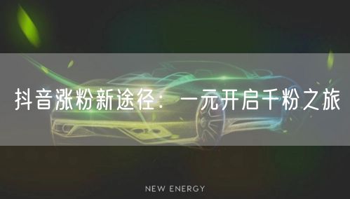 抖音涨粉新途径：一元开启千粉之旅