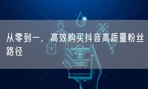 从零到一，高效购买抖音高质量粉丝路径