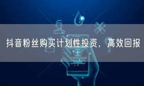 抖音粉丝购买计划性投资，高效回报