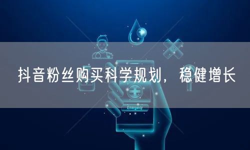 抖音粉丝购买科学规划，稳健增长
