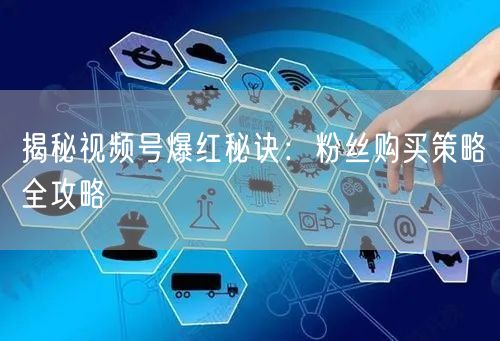 揭秘视频号爆红秘诀：粉丝购买策略全攻略