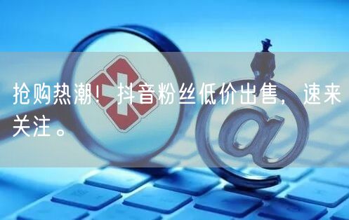 抢购热潮！抖音粉丝低价出售，速来关注。