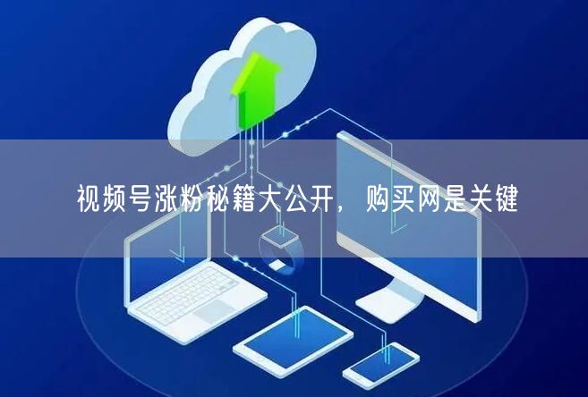 视频号涨粉秘籍大公开，购买网是关键