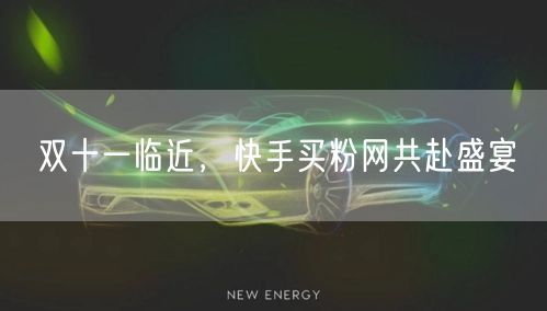 双十一临近，快手买粉网共赴盛宴