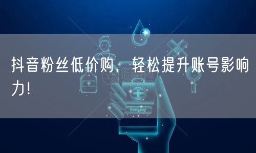 抖音粉丝低价购,轻松提升账号影响力!