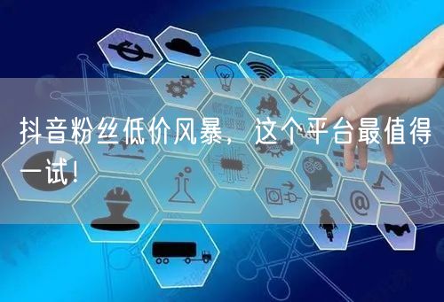 抖音粉丝低价风暴，这个平台最值得一试！